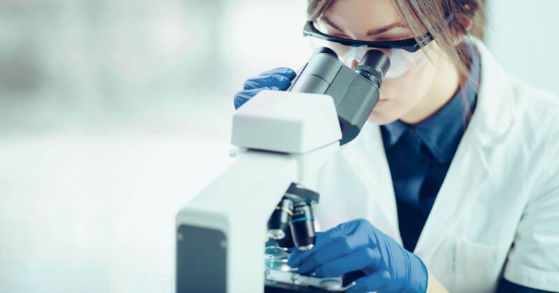 L’importanza della ricerca e di giovani talenti

